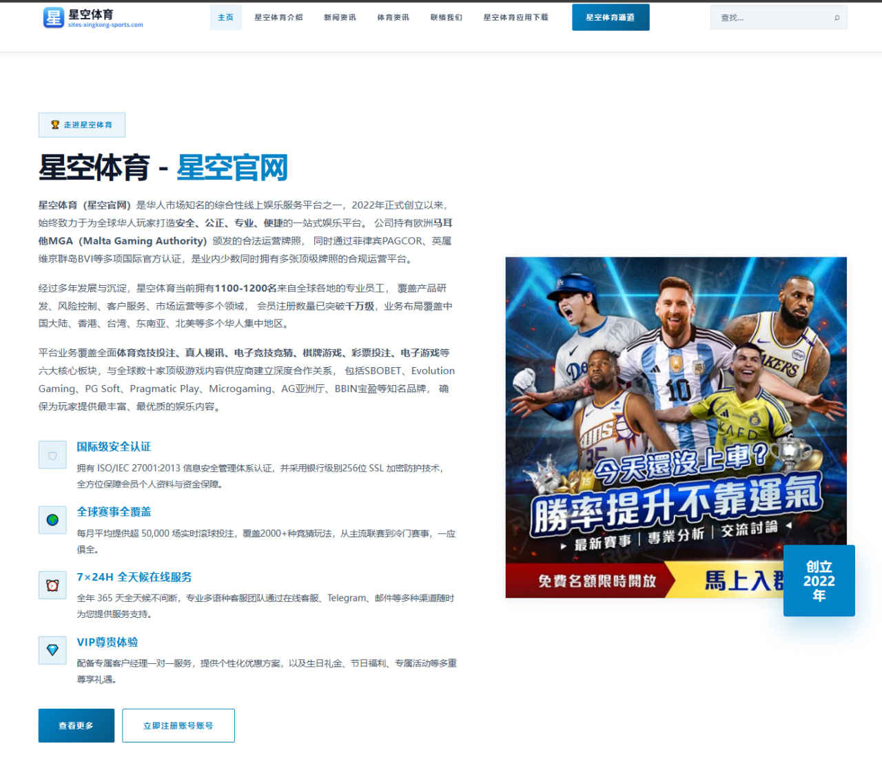 2026年国际羽毛球赛中陈雨菲的对手分析与未来展望