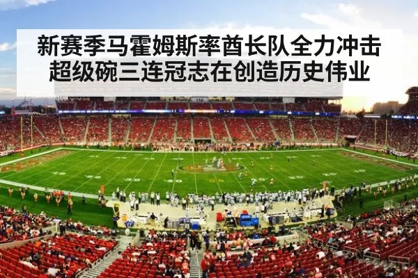 NFL stadium crowd